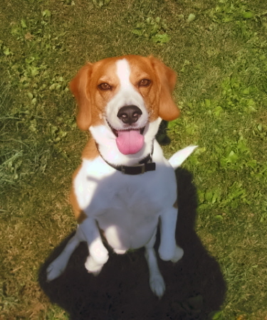 Buster - My shadow fell into the shot. I avoid this type of pic usually. Oh well.
