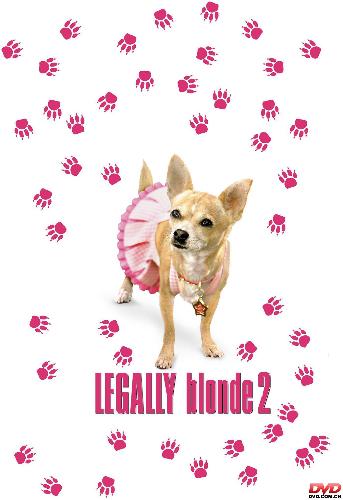 Legally Blonde - Bruiser