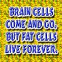 fat cells - funny sign I found online