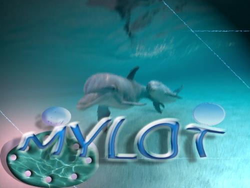 I design MyLot - I like to MyLot so I use photoshopCS design.