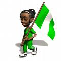 nigerian flag - nigerian flag, 