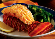 Rock Lobster Tail - The best from 'Red Lobster'