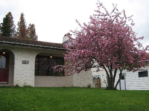 Bought our house - Picture of our house