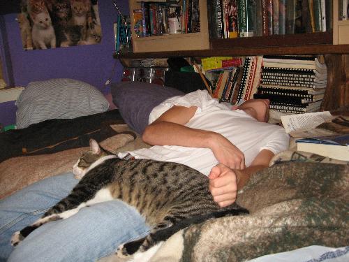 The roomie's nephew konked on her bed - See, we even wore out a teenager!