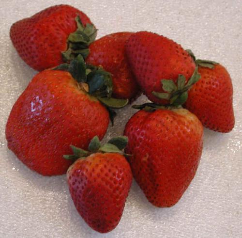 Strawberries - A mixture of strawberry sizes
