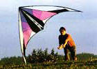 Kite flying - kites on the Independence Day.