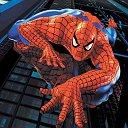 spiderman - I find this picture in a website and think it suitable for this subject so I upload it .