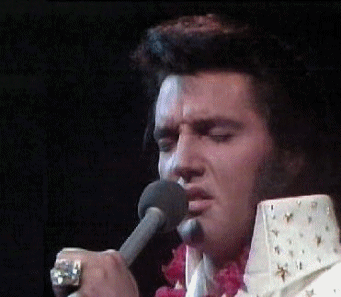 Elvis Presley - Elvis Presley Portrait the king