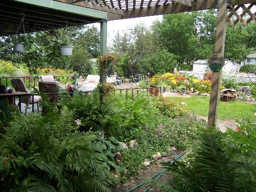 Manitoba Garden...our summer living room - This shot shows a partial view of the deck and a wide shot of our garden. There are beds along the sides and back...and in this photo the lilly bed is putting on a good show. We have mostly perienials with annuals in container pots for color. Our garden gives us an on-going connection to nature...we sit out there and just go...Ahhhhh. We love our Manitoba summers!