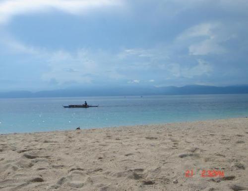 beach - white beach located in moalboal..
