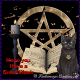 Black kitty - This is a pretty and magical picture.