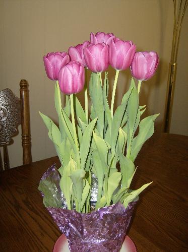 pink tulips - this is real pink tulips that is given by my hubby on valentine's day! i like pink flowers a lot and my favorite color is pink!