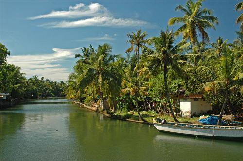 backwaters - backwaters kerala