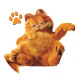Garfield the cat - Garfield is a cutey!