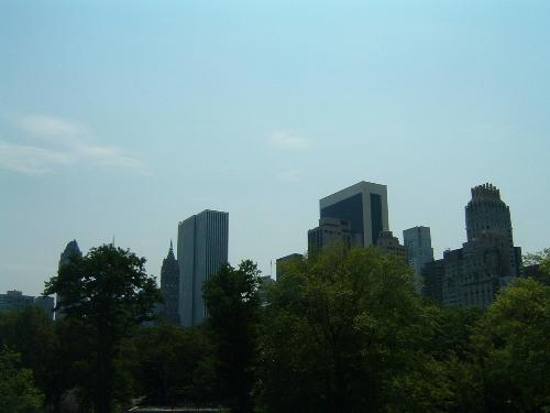 A picture in New York City! - Another picture of our vacation in New York City. It was a blast! Defiantly go there if you can!