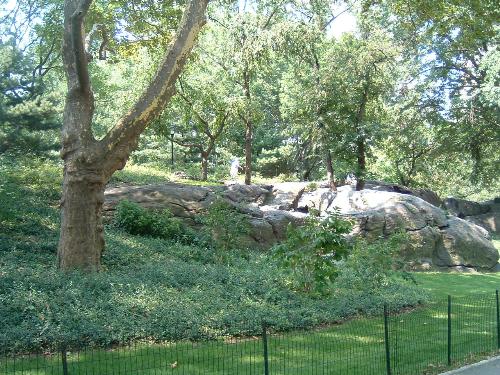 A picture in New York City! - Another picture of our vacation in New York City. It was a blast! Defiantly go there if you can!