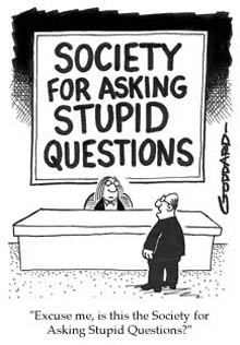 Stupid Questions - Society for stupid questions?