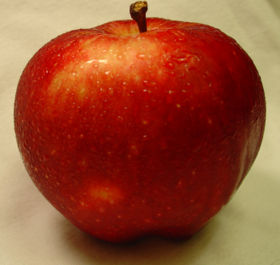 organic apple - many countries now looking for organic certification to market as organic food; such as USA, European Union, Japan,....etc..