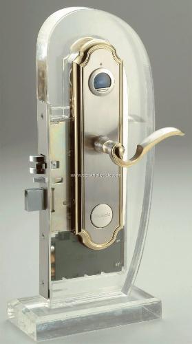 Figerprint door lock. - Can a thief break it?