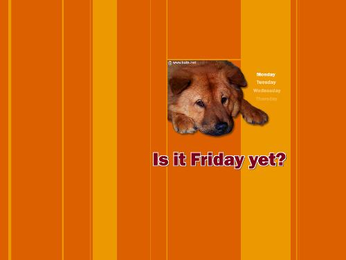 fridays are fun - Fridays are fun at least for me.. fridays are fun - Fridays are fun at least for me..