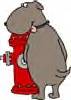 Its Life - Dog taking a pee
