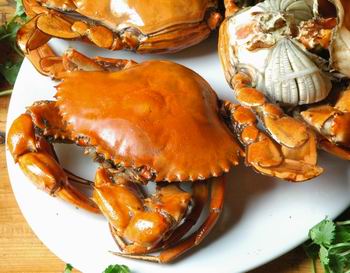 crab - delicious crab