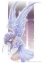 fairy - magic dust fairy