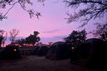 kruger park in south africa - Sunset...Kruger Park, South Africa