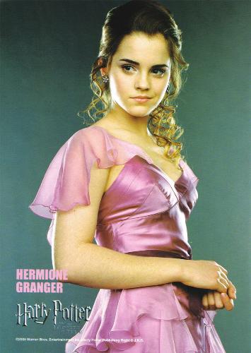 Hermione Granger - The girl who had been with Potter and Ron.
She is the symbol of the true friendship.
I also liked her style and friendship with harry