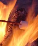 Camping - Camp fire