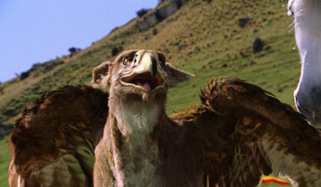 Narnia Gryphon - A Gryphon, friendly creature of Narnia. Part lion, part eagle! So cool! :)