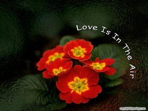 love poetry - love poetry wallpaper