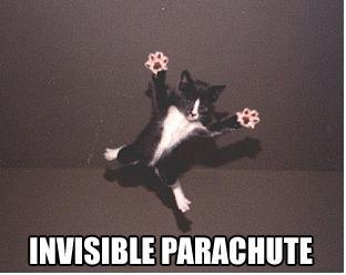 Cat using an invisible parachute - A cat jumping like it was using an invisible parachute