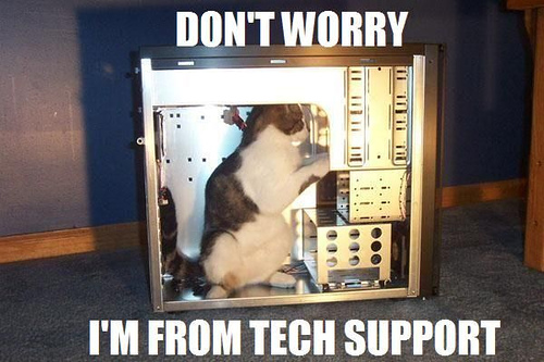 Tech Support Cat - A cat inside a computer