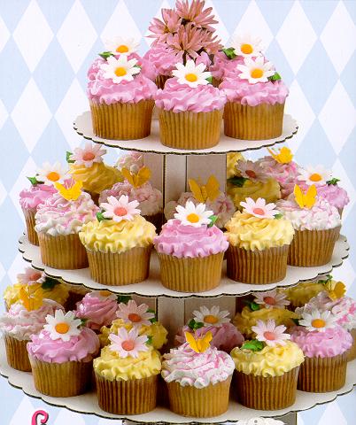 cupcakes very pretty - I made these once they are so beautiful I feel like I did a ncie job what do u think?