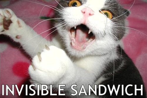 Cat eating an invisible sandwich - Looks like the cat is eating someting big like a sandwich