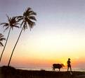 Bali - Bali Sunset