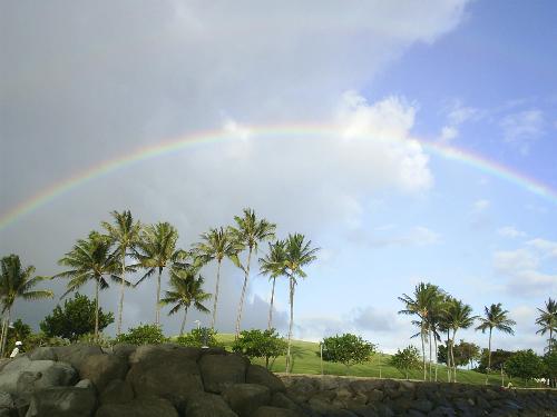 Oahu rainbow - Picture of rainbow taken at Kakaako Park in Honolulu, Hawaii