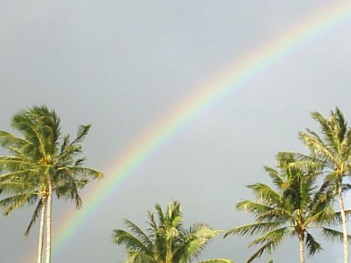 Rainbow at Kakaako Park - Another picture taken at Kakaako Park
