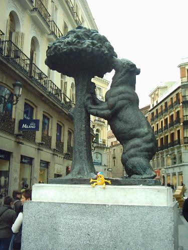 madrid - bear