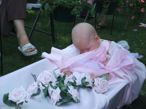 My princess - We youngest as a flower girl being pulled in the wagon.