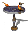 Birdbath - birdbath