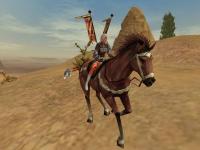 _RiNaYuKi_ - silkroad online character