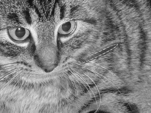 GIlbert playing. - Gilbert playing with me.