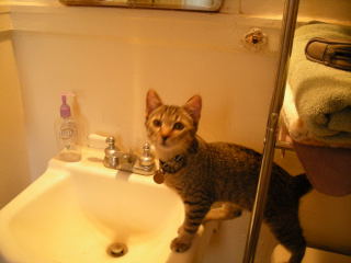 Can I Brush My Teeth Mommy?  - Samantha discovers the joys of the bathroom sink...