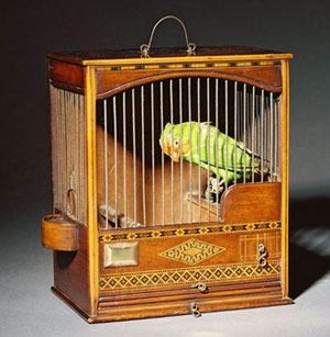 Caged bird - You like the look in her face? Caged bird - You like the look in her face?