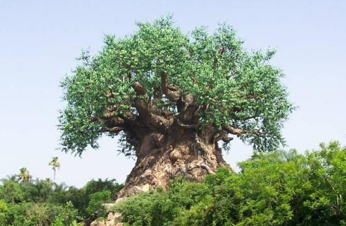 a supernatural tree - a tree very supernatural