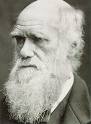 charles darwin - charles darwin with beard