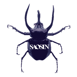 Saosin - Cd Cover
