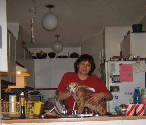 Pat giving Cuddles a bath! - Cuddles getting a bath in the kitchen sink by Patsy!
